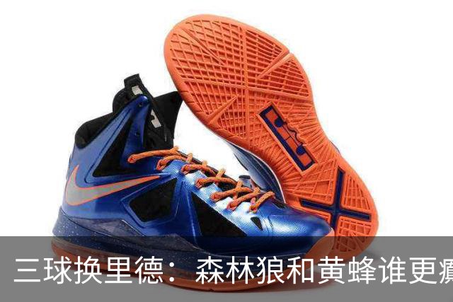 三球换里德：森林狼和黄蜂谁更癫？！